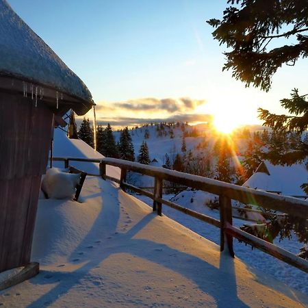 Chalet Resa - Velika Planina Stahovica Ngoại thất bức ảnh