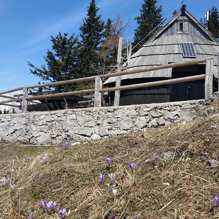 Chalet Resa - Velika Planina Stahovica Ngoại thất bức ảnh