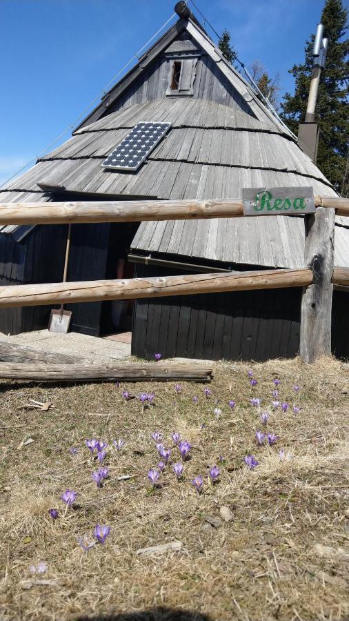 Chalet Resa - Velika Planina Stahovica Ngoại thất bức ảnh