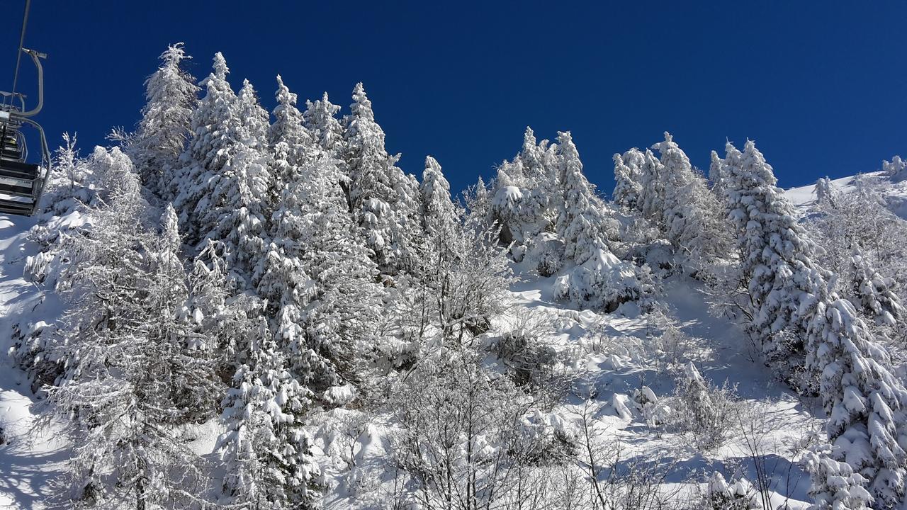 Chalet Resa - Velika Planina Stahovica Ngoại thất bức ảnh